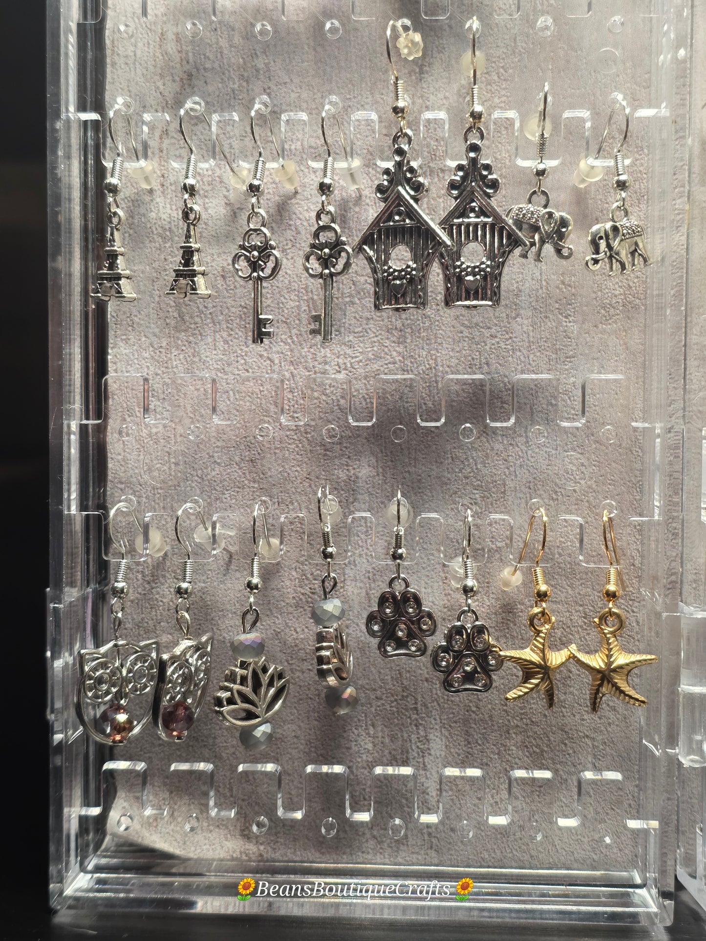Earrings