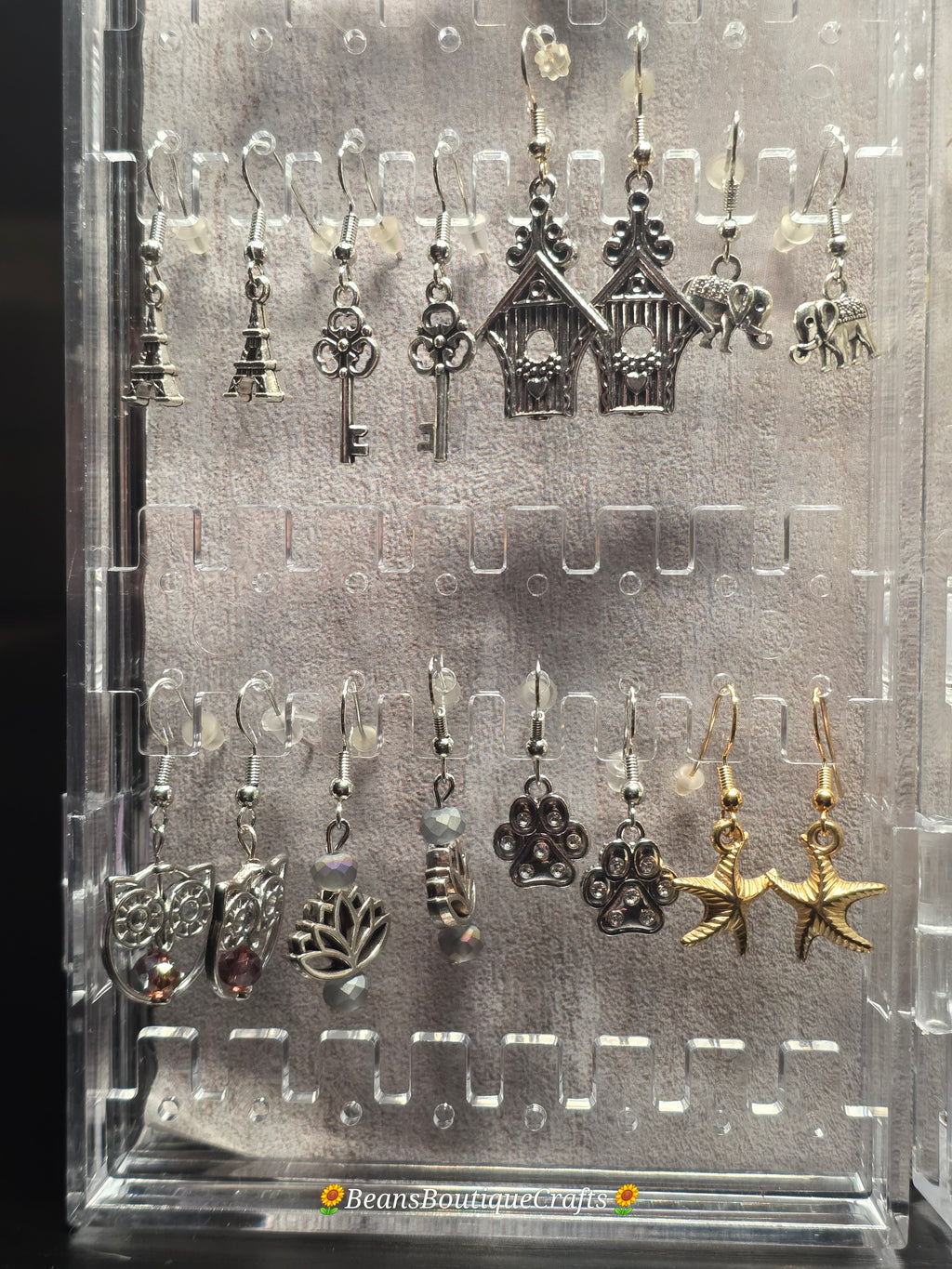 Earrings